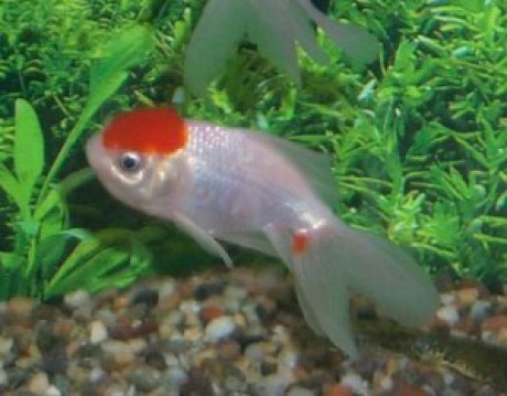 rrrrrrrrrrrrrrrrrrrrrrrrrrrrr